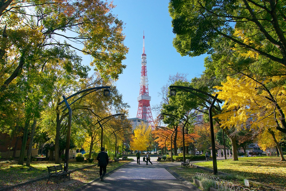 東京の歴史と森の魅力発見!「TOKYO ウォーク 2024」